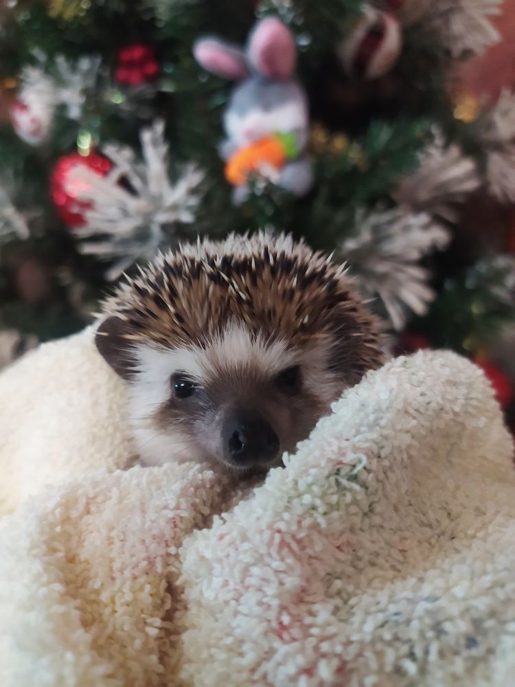 Photograph by Елена Прыткова