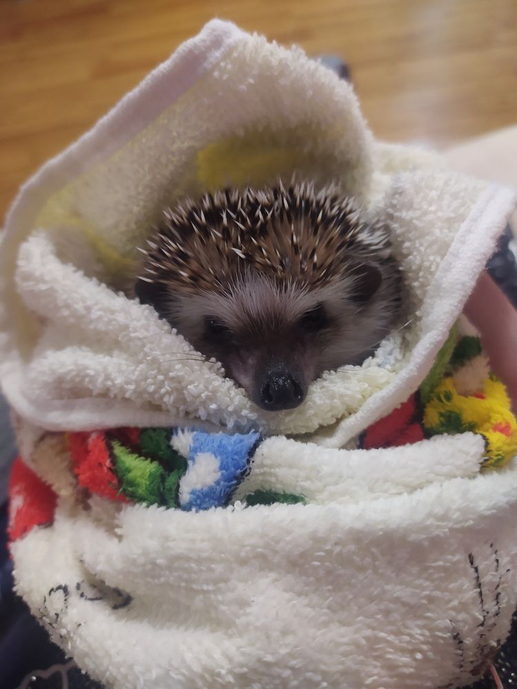 Photograph by Елена Прыткова