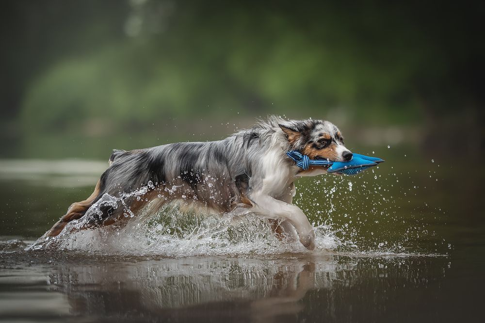 Photograph by Людмила Богуш