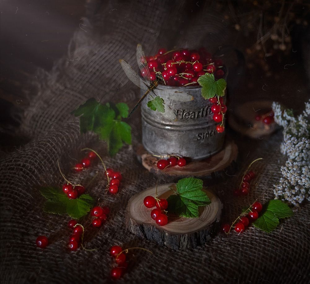 Красная смородина