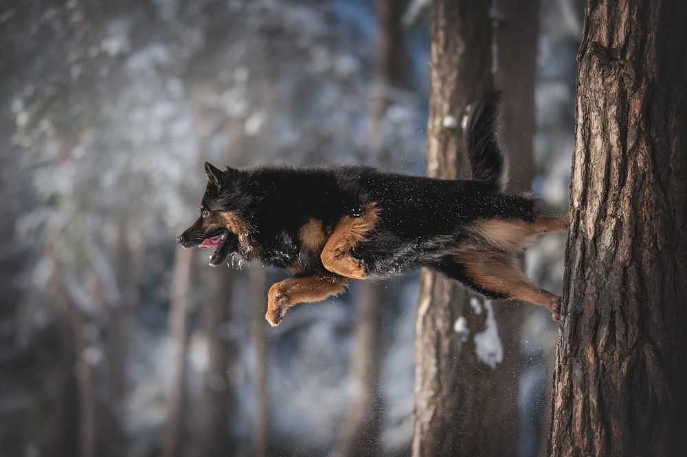 Photograph by Людмила Богуш