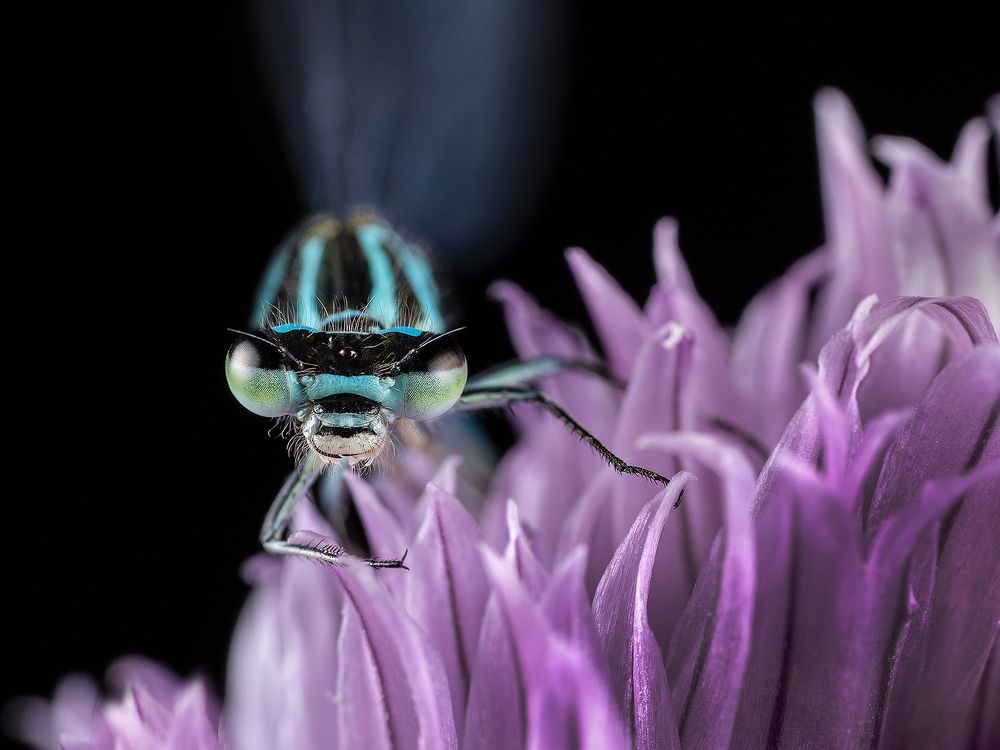 Фотография автора ЯR Ольга