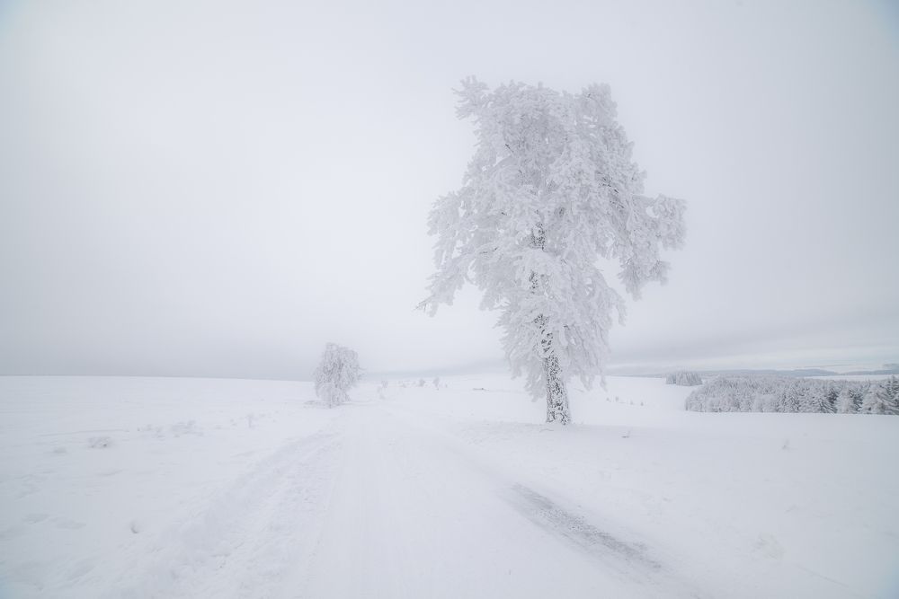 Фотография автора konstantin zhdanov