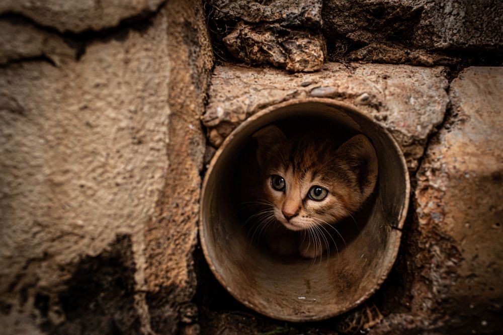 Photograph by Сахаяна Семеновская