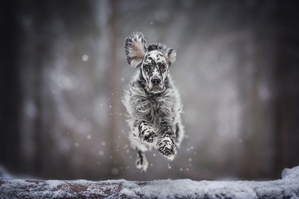 Photograph by Людмила Богуш