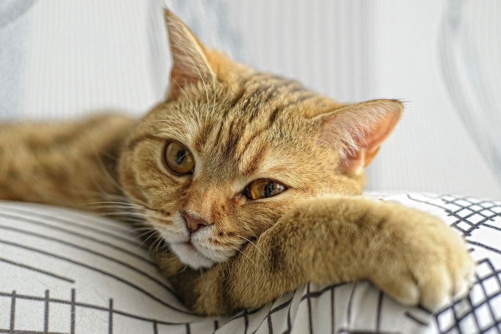 Photograph by Наталья Костинова