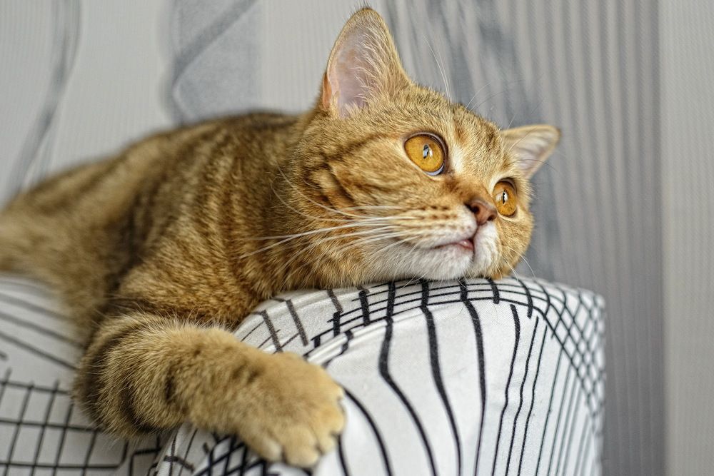 Photograph by Наталья Костинова