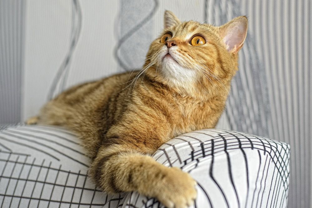 Photograph by Наталья Костинова