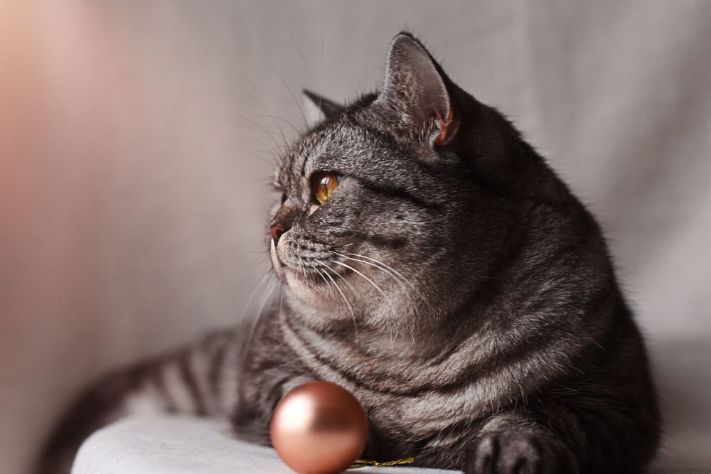 Photograph by Ольга Слободянюк