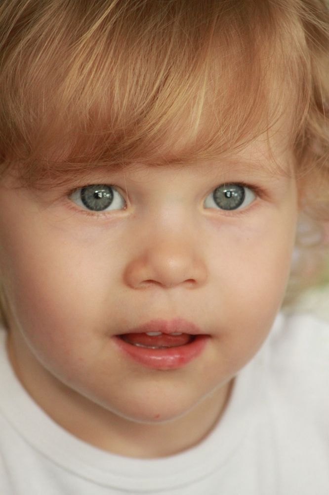 Photograph by Tasha Tiger