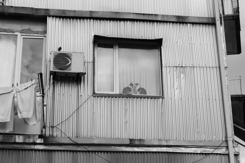 Photograph by Александр Винник