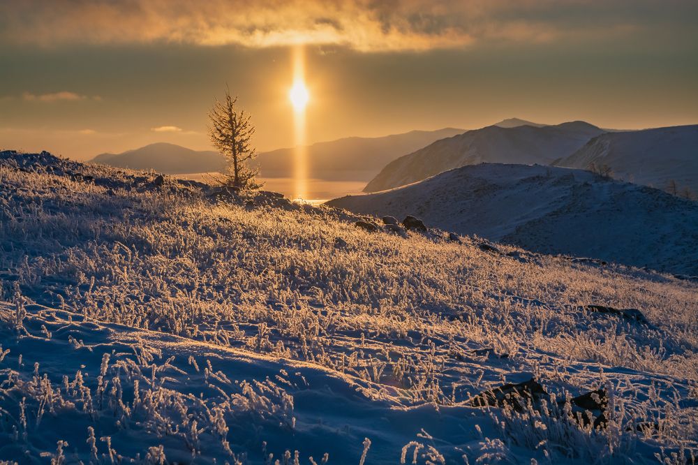 Фотография автора Анастасия Шахотская
