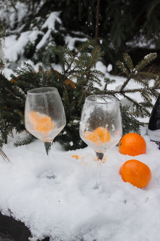 Фотография автора Дарья Скутина