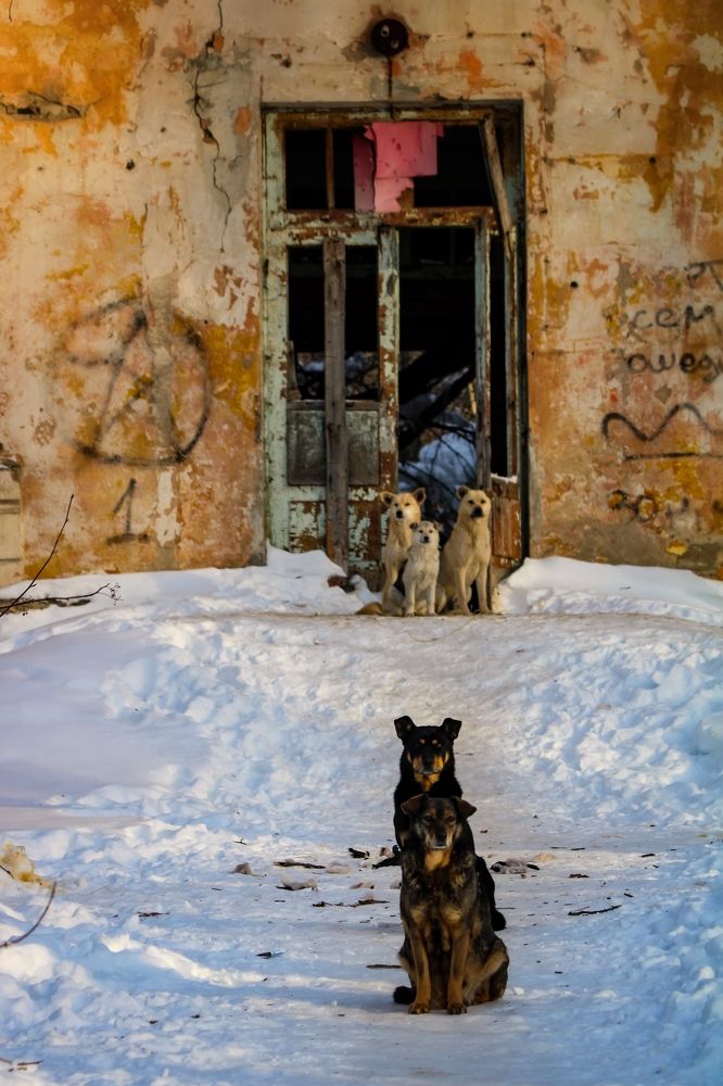 Photograph by Олеся Постнова