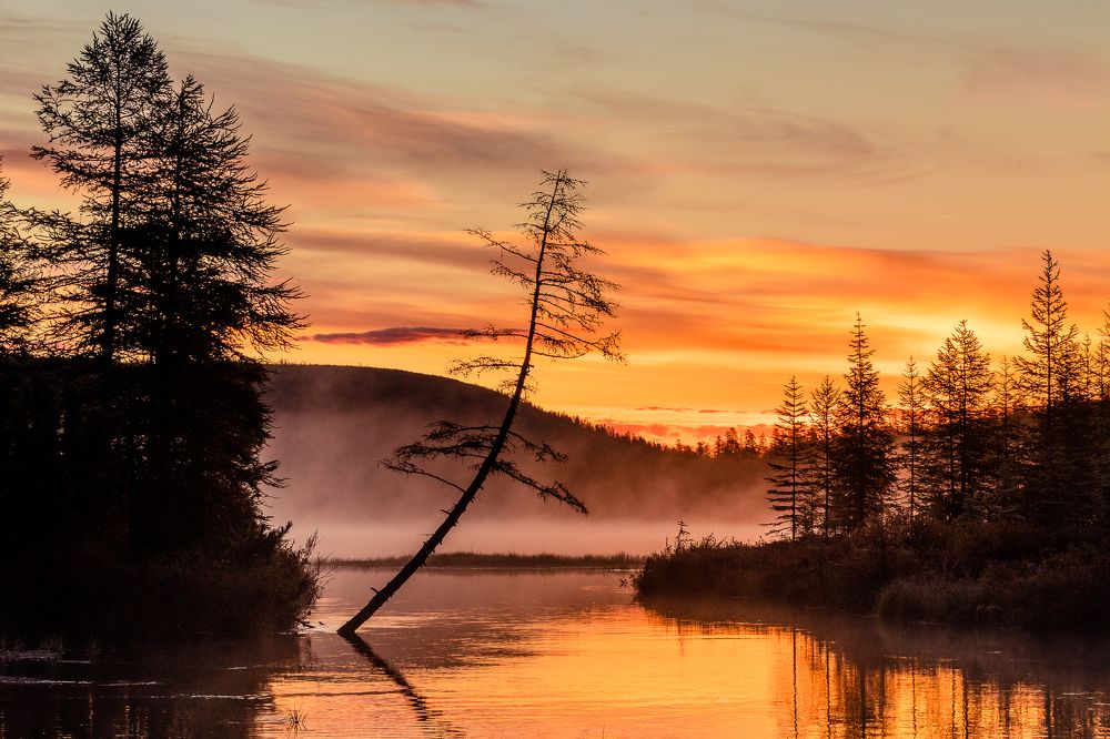 Фотография автора Nadezhda Okorokova