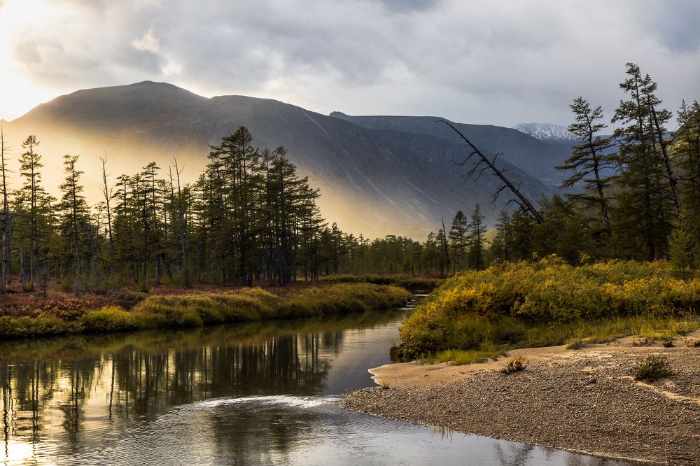 Фотография автора Nadezhda Okorokova