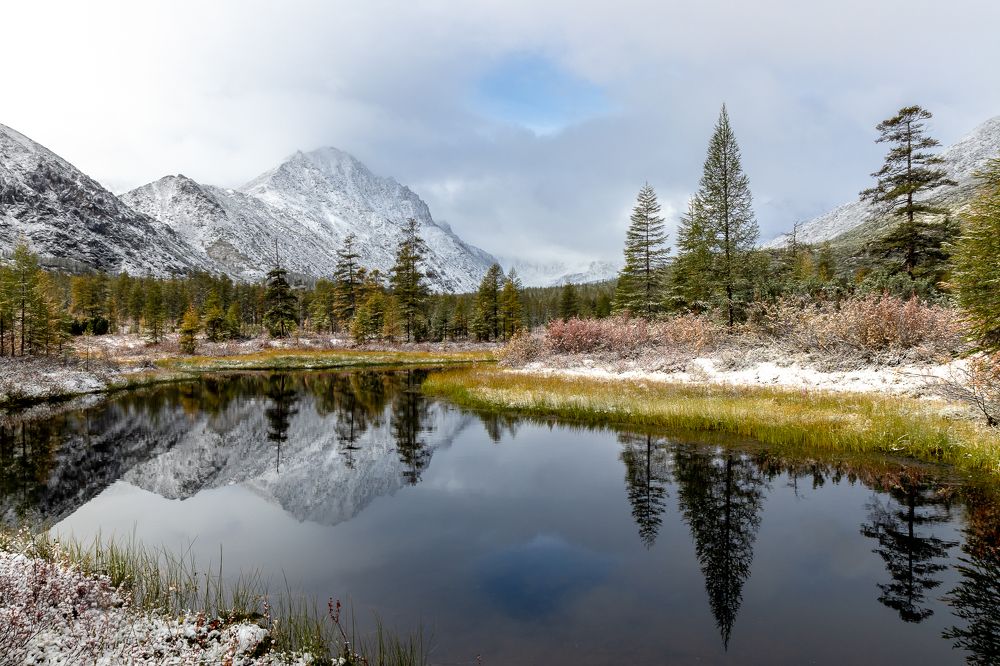 Фотография автора Nadezhda Okorokova