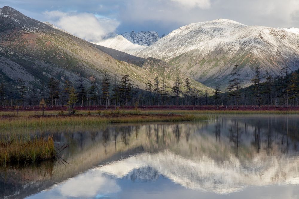 Фотография автора Nadezhda Okorokova