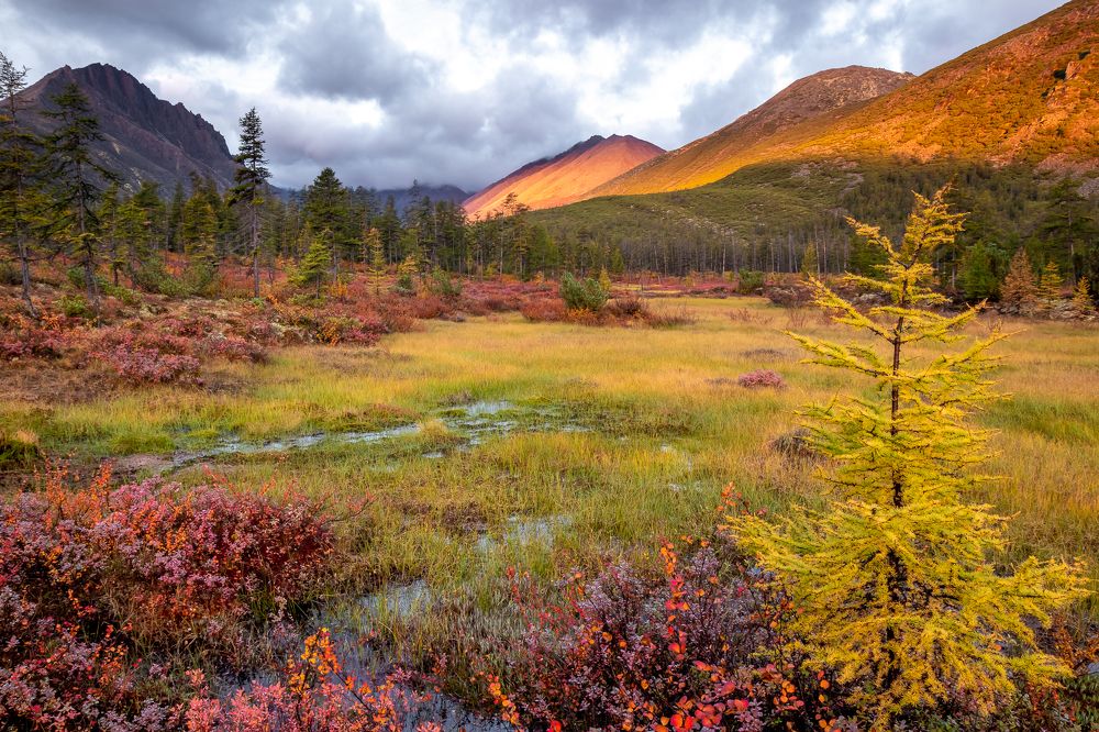 Фотография автора Nadezhda Okorokova