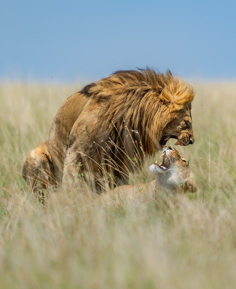 Photograph by DEEPA GIRISH