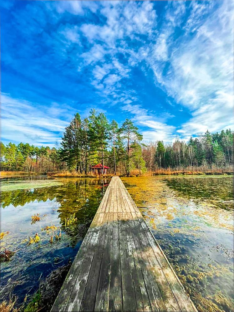 Photograph by Светлана Богомолова