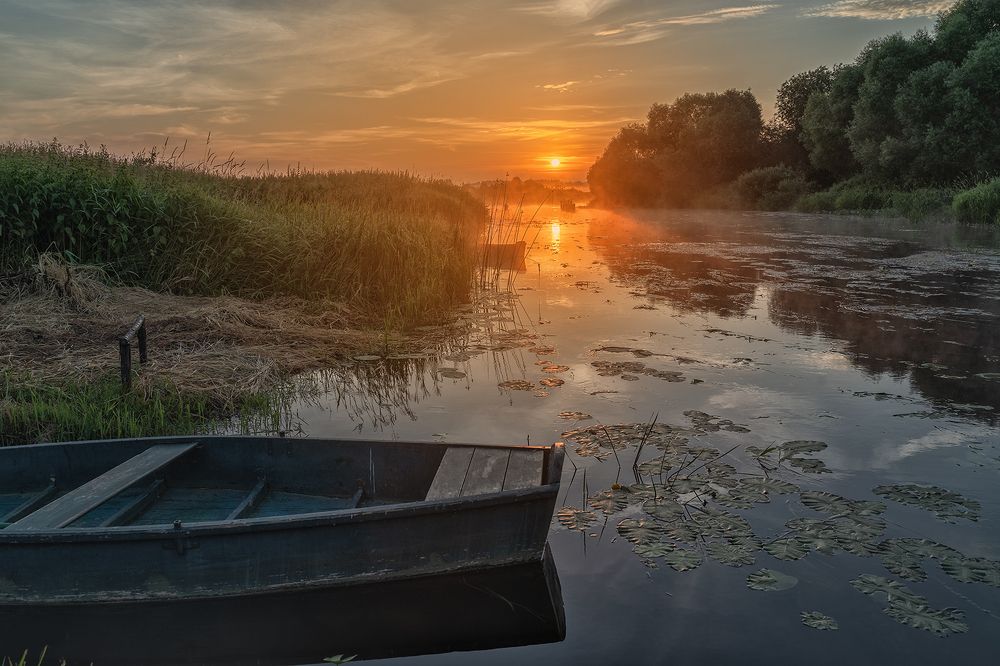 Photograph by Лариса Николаевна Дука