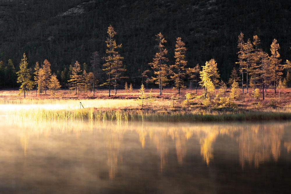 Фотография автора Nadezhda Okorokova