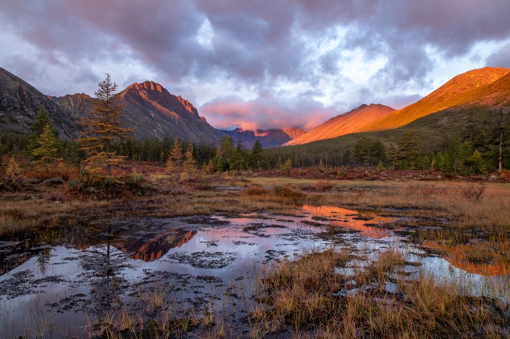 Фотография автора Nadezhda Okorokova