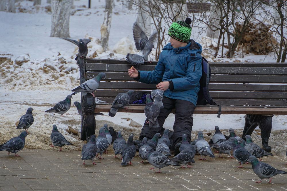 Photograph by Елена Никонова