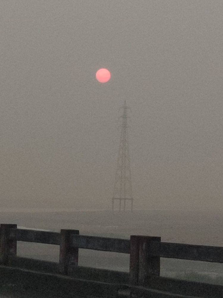 Photo #8817266
