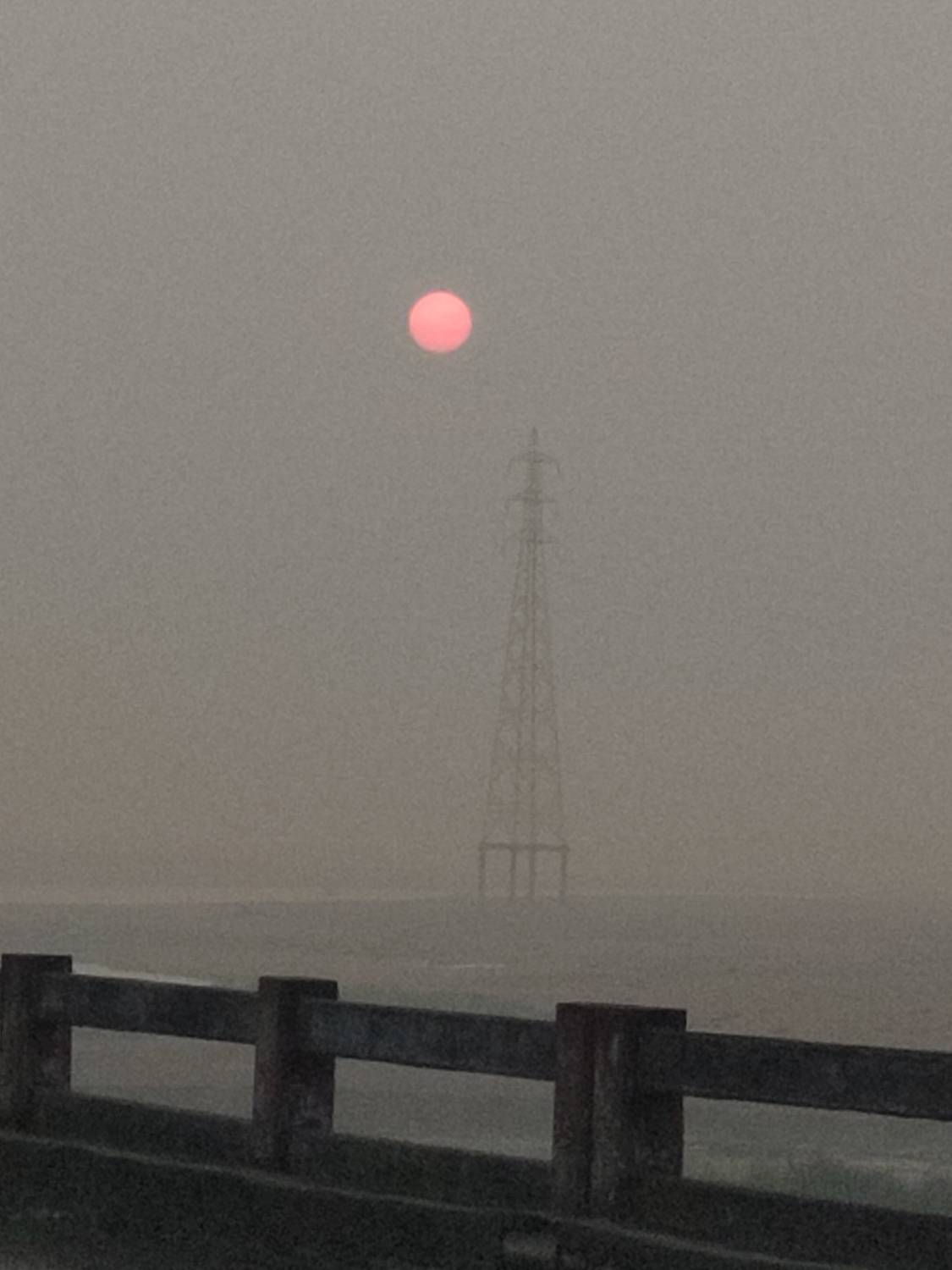 Photo #8817266