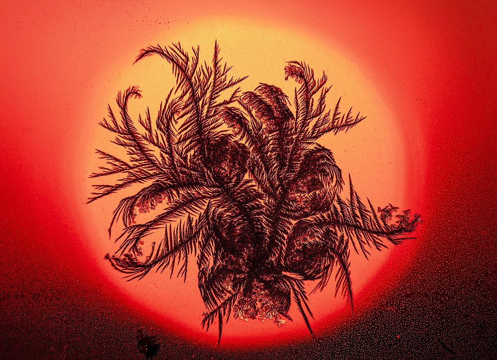 Морозный узор на закате