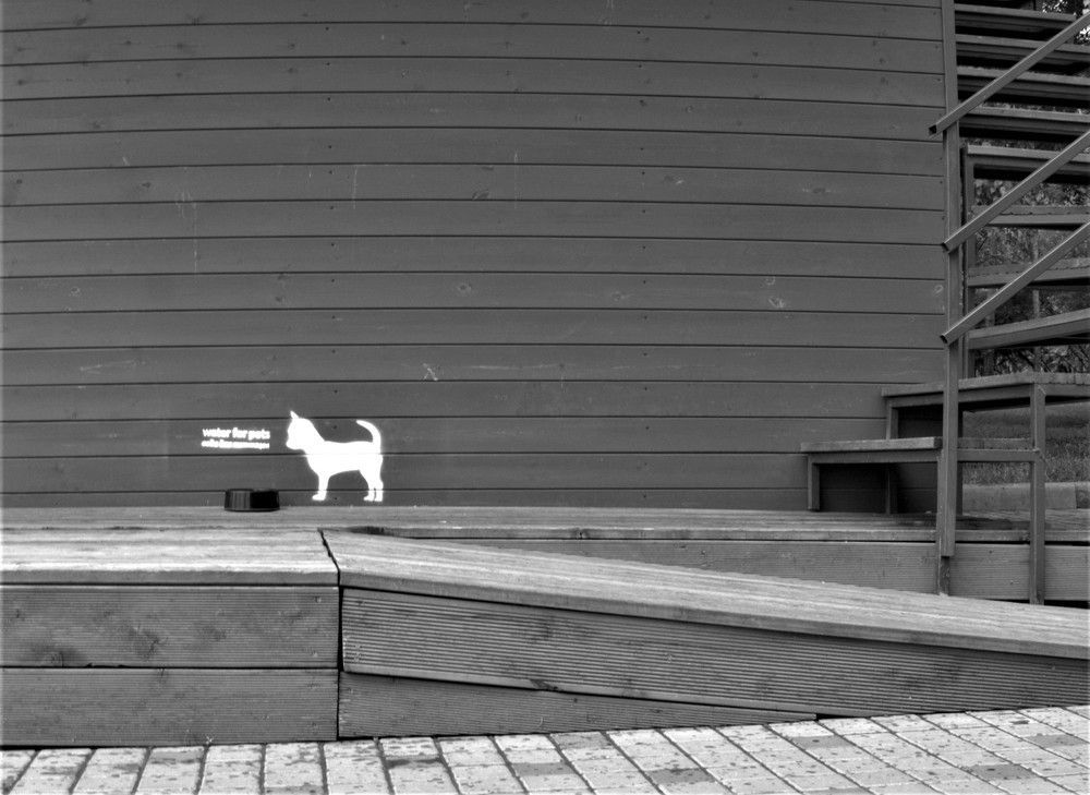 Фотография автора Максим Грибанов