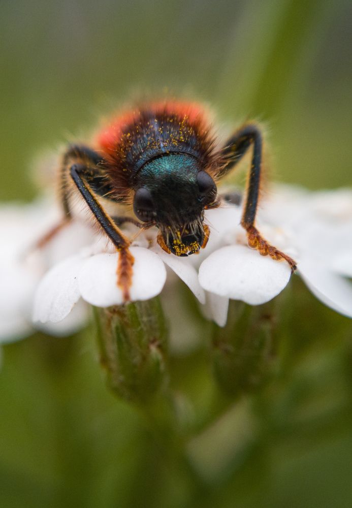 Photograph by Алексей Крукович