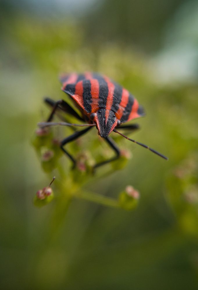 Photograph by Алексей Крукович