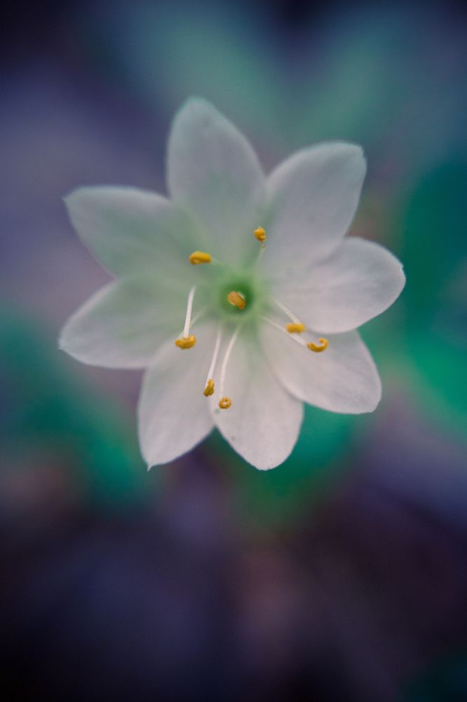 Photograph by Алексей Крукович