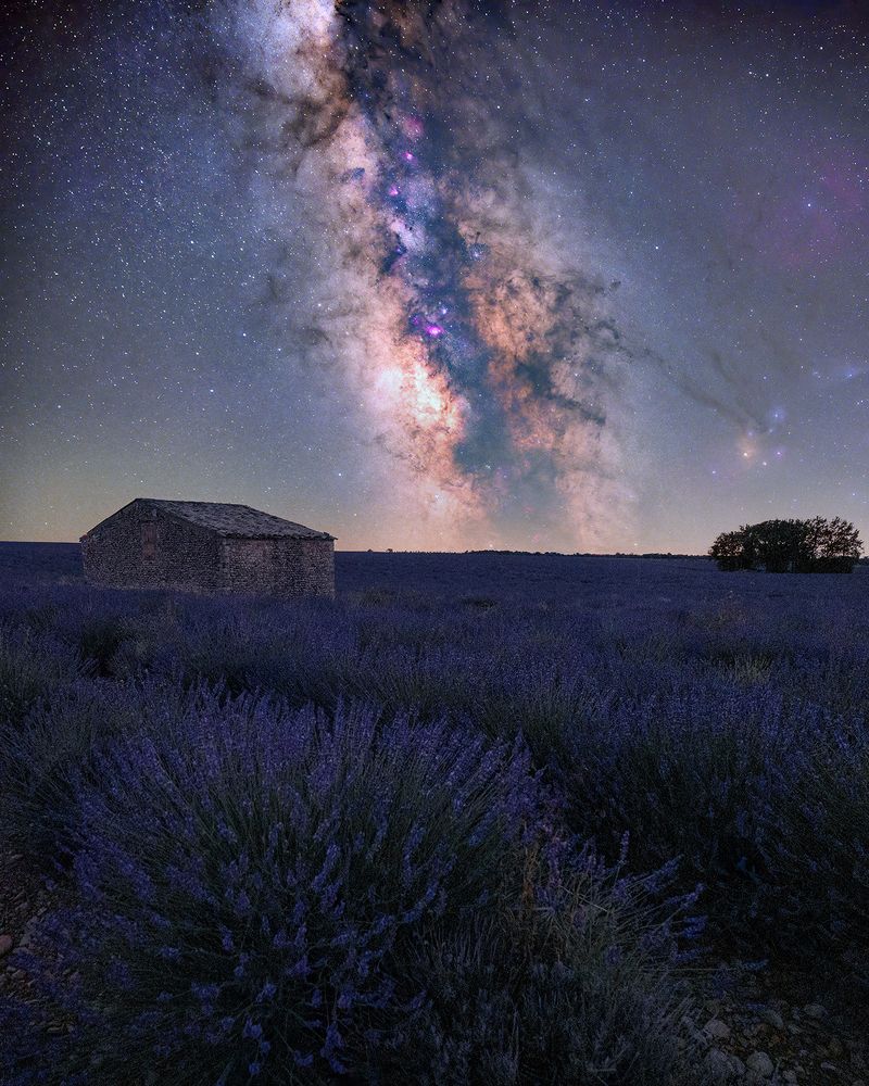 A starry field