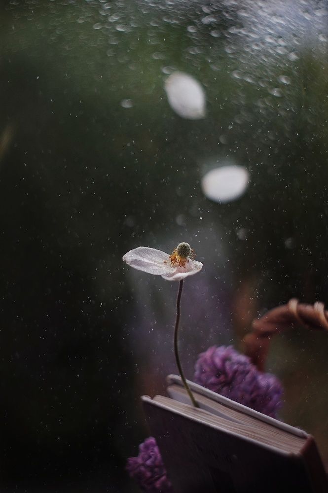 Photograph by Наталья Шленкина