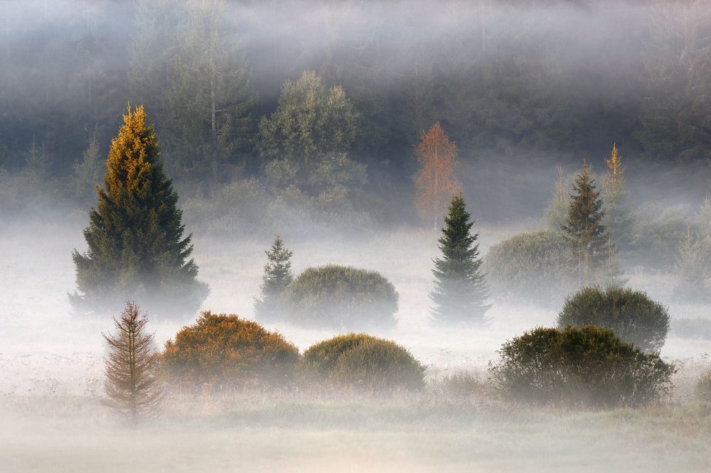 Фотография автора Daniel Rericha