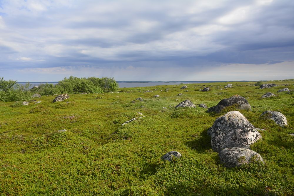 Photograph by Анастасия