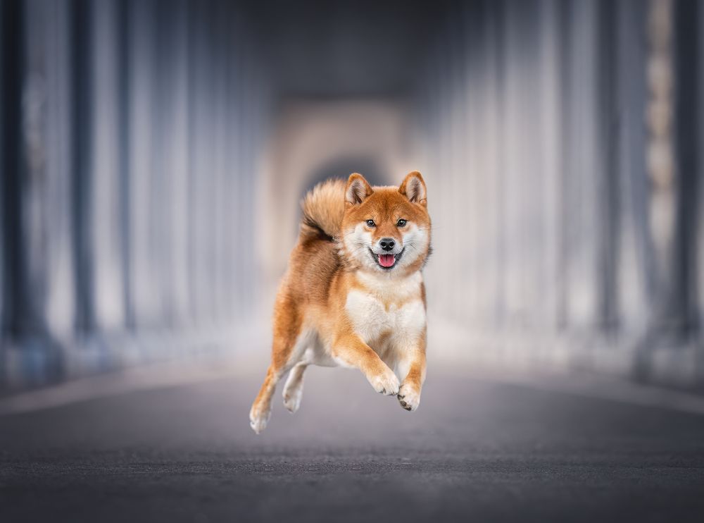 Photograph by Rosie Phang