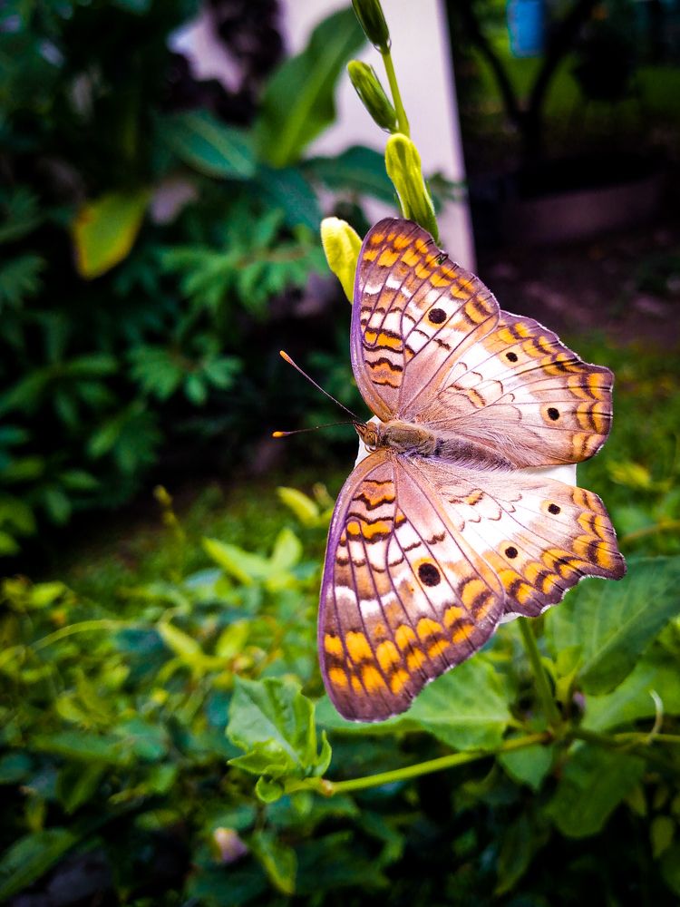 Photograph by Arelia Manderson