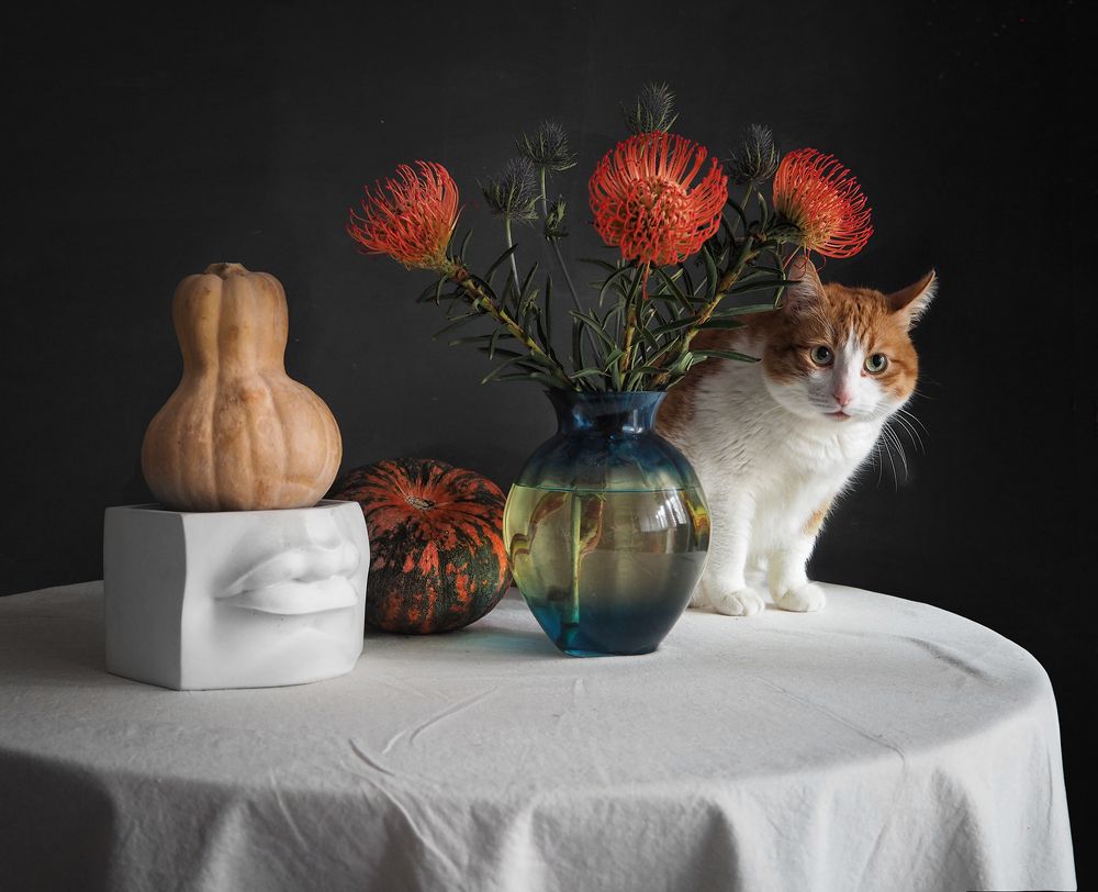 Photograph by Ionika Mink