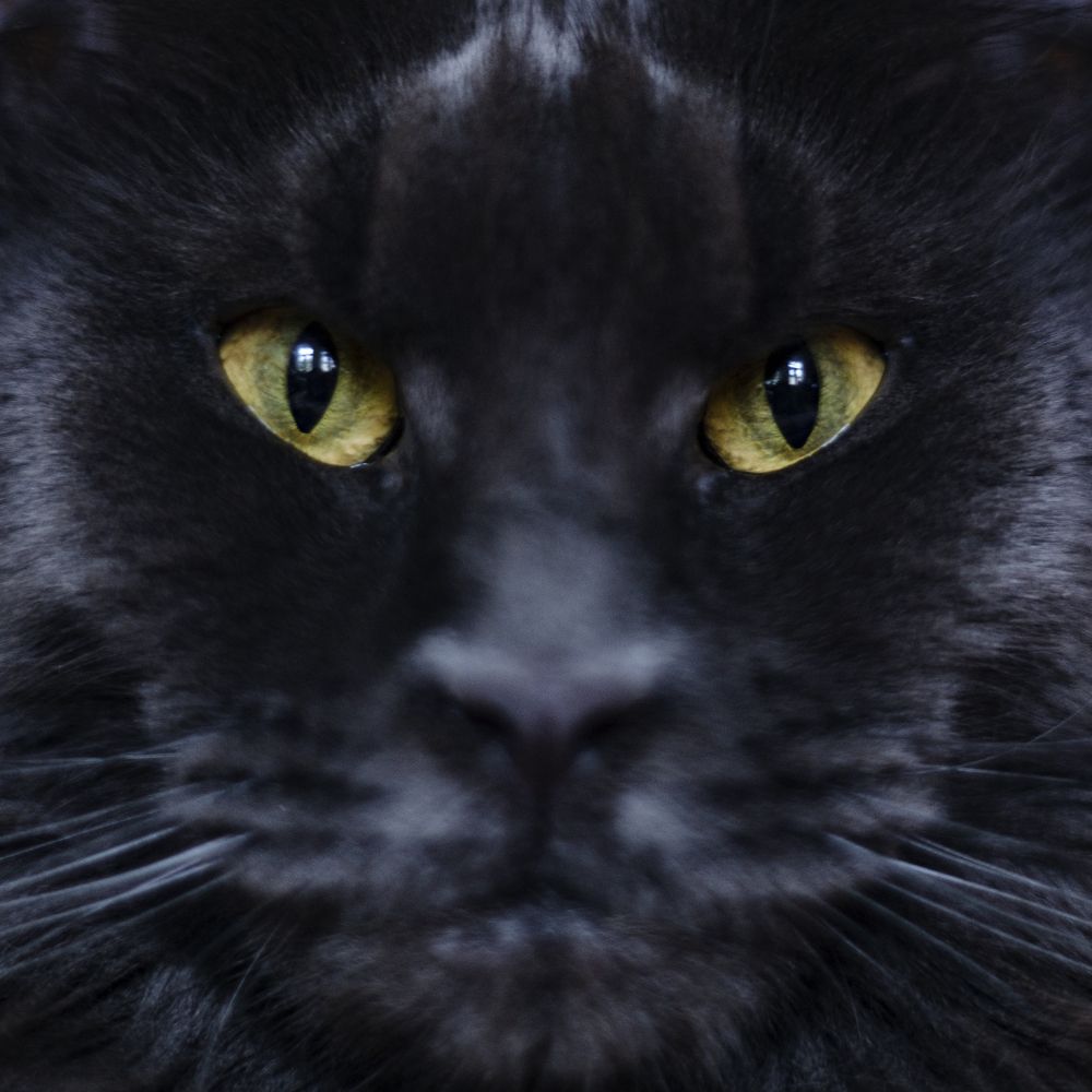 Photograph by Юлия Золотухина