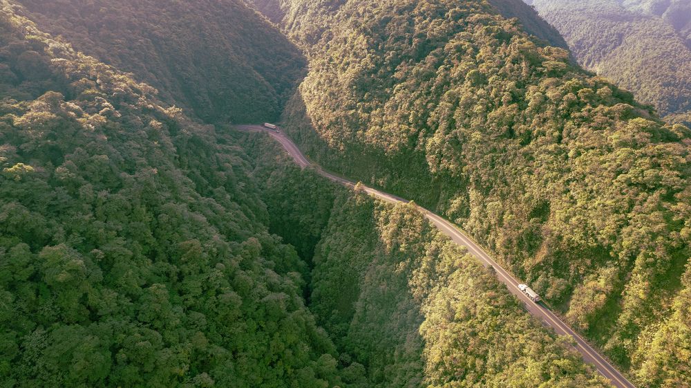 Photograph by Elio Rodríguez