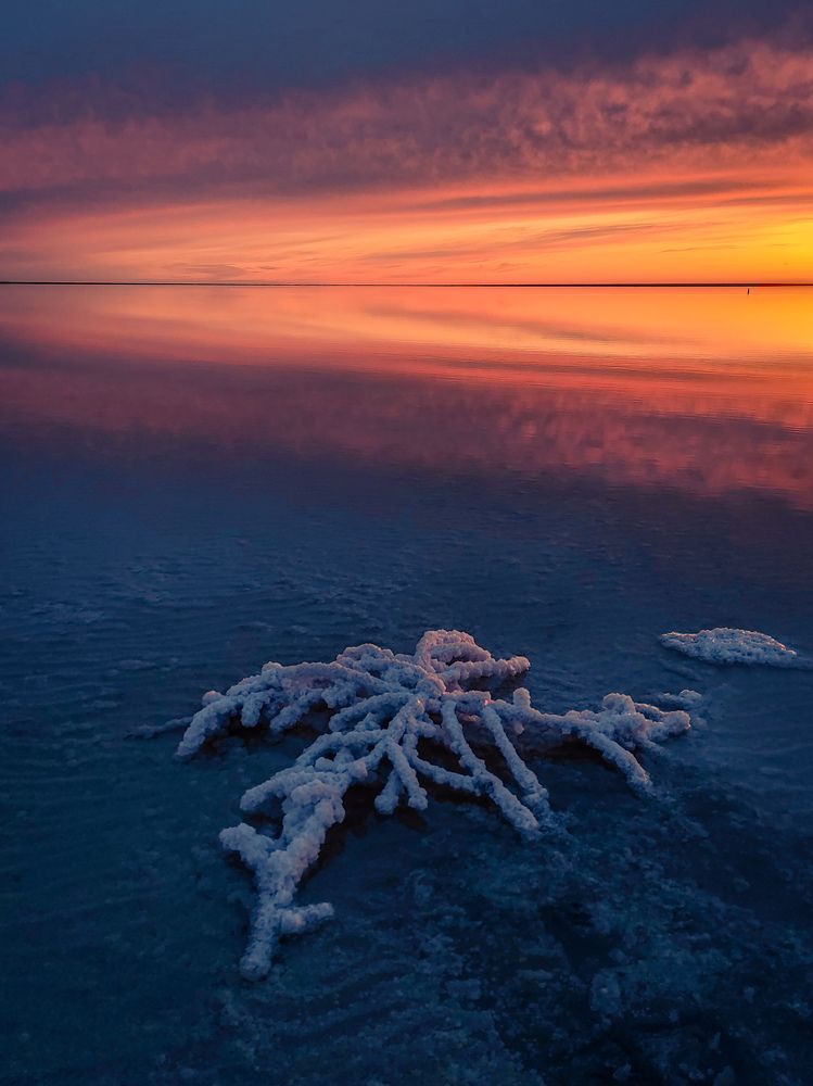 Photograph by Андрей Родионов