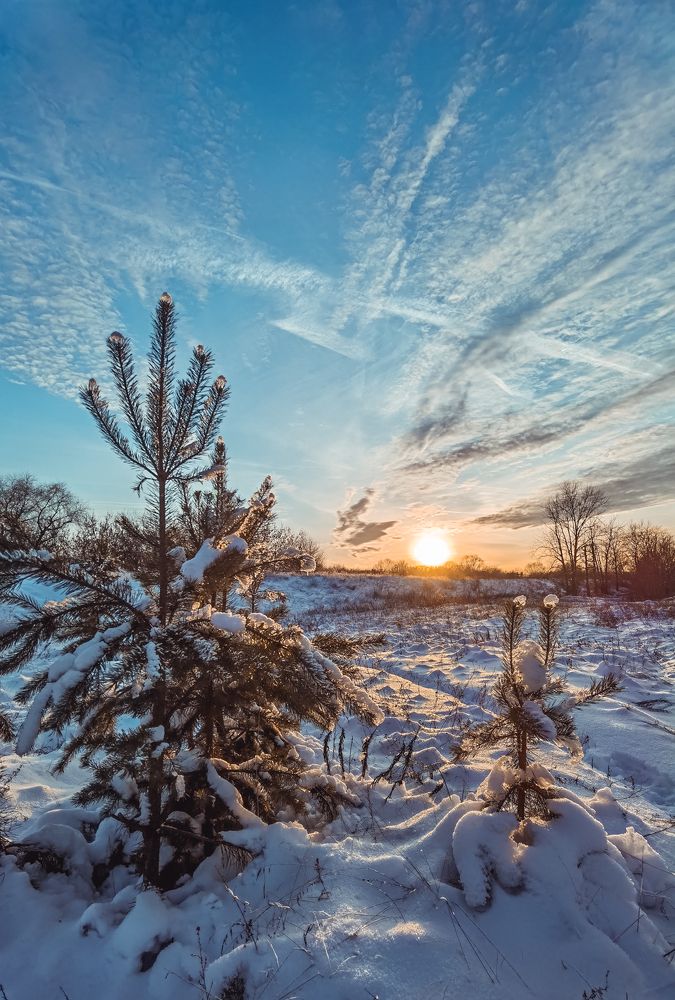 Photograph by Михаил Смирнов