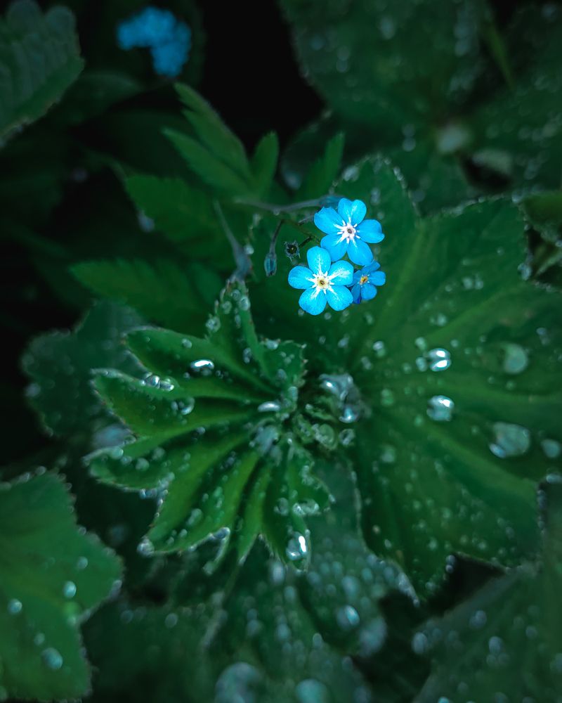 Photograph by Андрей Родионов