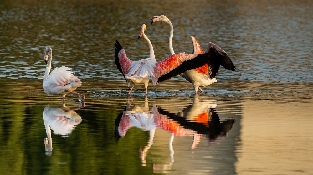 Photograph by Sunil Dhar