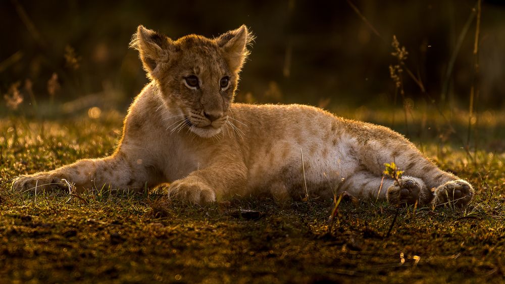 Photograph by Sunil Dhar